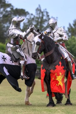 At düellosu. Mızrak dövüşü turnuvasındaki ortaçağ şövalyeleri. Şövalyeler yarışması.