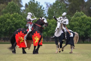 At düellosu. Mızrak dövüşü turnuvasındaki ortaçağ şövalyeleri. Şövalyeler yarışması.