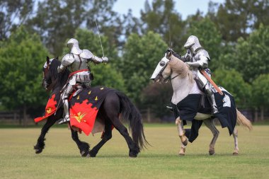 At düellosu. Mızrak dövüşü turnuvasındaki ortaçağ şövalyeleri. Şövalyeler yarışması.