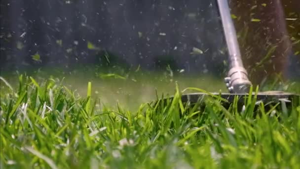 ワイパースニペットで緑の草を切る 手は芝刈り芝刈り芝生を開催しました 草の殻が飛び回り ゆっくりとガーデニングツール — ストック動画