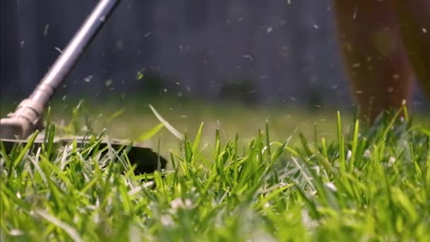 저격수와 잔디를 트리머 주위에 갈고리 슬로우 모에서 — 비디오