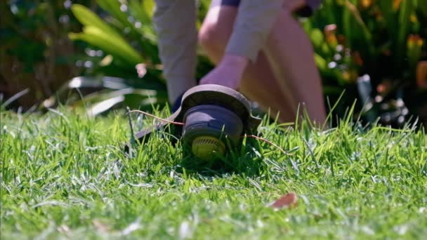 Cięcie Zielonej Trawy Snajperem Ręcznie Przycinany Trawnik Przycinania Trawy Kawałki — Wideo stockowe
