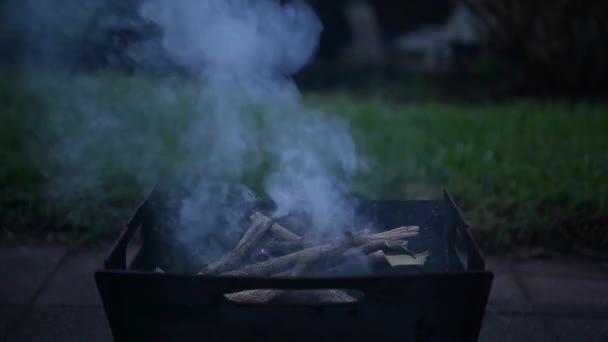 Füst Tüzifa Égetése Kandallóban Lángok Nélkül Lassított Felvételen — Stock videók