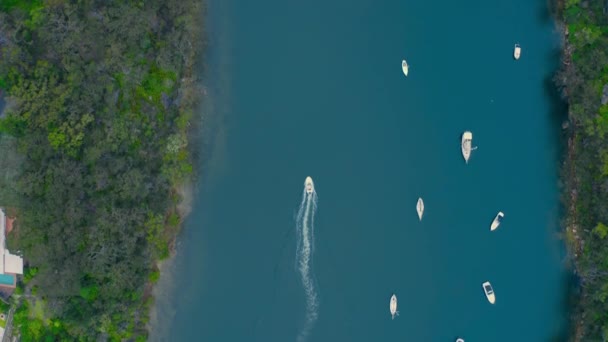 Imágenes Drones Barco Vista Aérea Panorámica Sobre Las Vías Fluviales — Vídeos de Stock