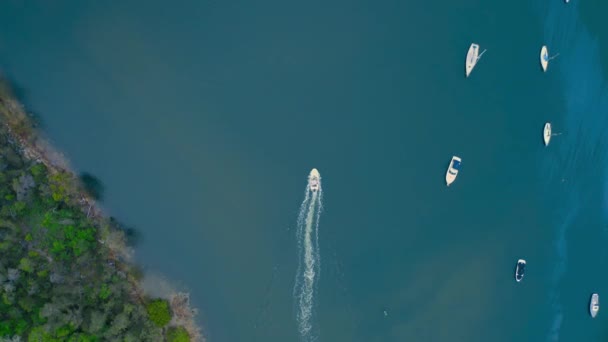 Drönarbilder Båt Panoramautsikt Över Vattenvägarna Norra Stränder Sydney Nsw Australien — Stockvideo