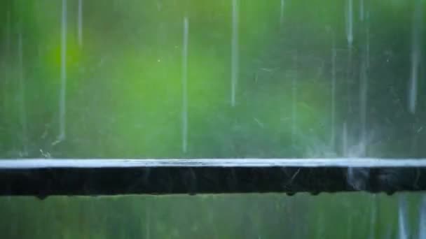Großaufnahme Eines Schweren Regentropfens Der Einem Bewölkten Tag Auf Das — Stockvideo
