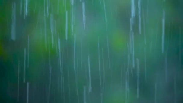 Primo Piano Una Forte Pioggia Gocce Che Cadono Sul Vetro — Video Stock
