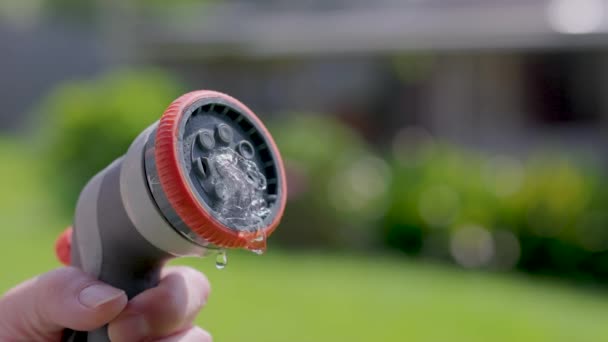 Besproeiingswater Met Tuinslang Regelbaar Mondstuk Slow Motion Man Hand Met — Stockvideo