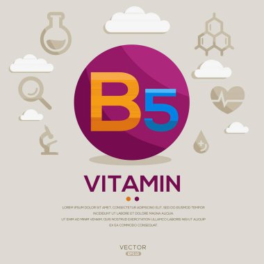 (B5 vitamini) Etiket Tasarımı, harfler ve simgeler içerir, Vektör illüstrasyonu.