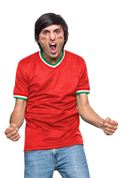 白い背景に感情を叫んでウェールズチームの旗で描かれたジャージーと顔を持つサッカーファンの男 — ストック写真