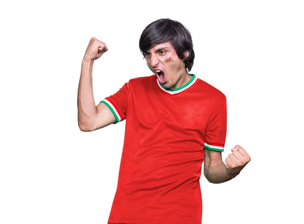 Fotbalový Fanoušek Muž Dresem Tvář Malované Vlajkou Týmu Wales Křičí — Stock fotografie