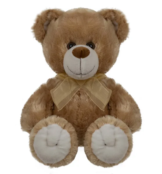 Медведь Тедди Коричневым Бантом Сидит Белом Фоне — стоковое фото