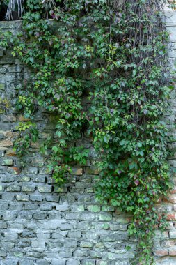 Eski ve tuğlalı duvar dokusu arkaplanı.