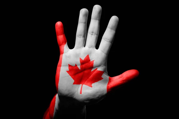 粗鲁的人与加拿大国旗手拉手 停止签署愤怒 种族主义 虐待黑人背景的标志 — 图库照片