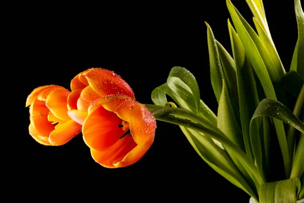 Ornament Aus Verschieden Farbigen Blumen Vase Und Nahaufnahme — Stockfoto