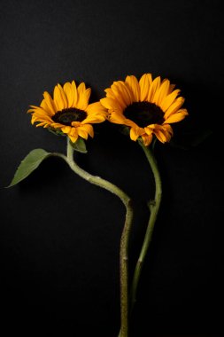 Vazoda farklı renkte çiçekler ve yakın plan süslemeler vardır.