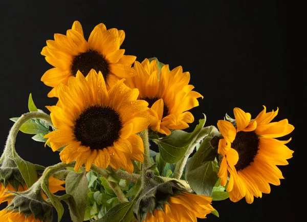Vazoda Farklı Renkte Çiçekler Yakın Plan Süslemeler Vardır — Stok fotoğraf