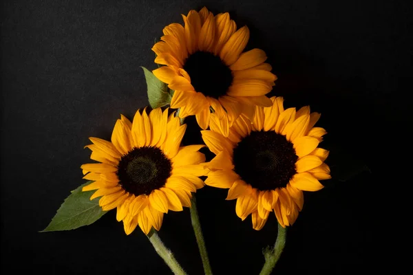 Vazoda Farklı Renkte Çiçekler Yakın Plan Süslemeler Vardır — Stok fotoğraf