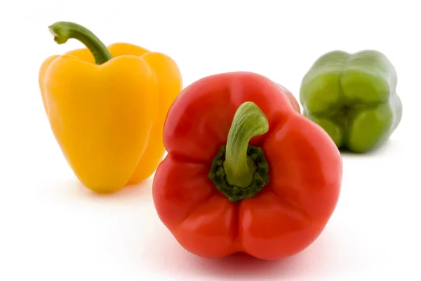 Paprika Verschiedenen Farben Unterschiedlich Auf Weißem Hintergrund Angeordnet — Stockfoto