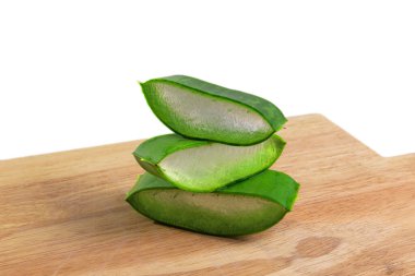 Güneşli bir günde bahçedeki aloe üsten kesiliyor.