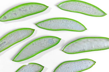 Güneşli bir günde bahçedeki aloe üsten kesiliyor.