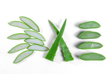 Güneşli bir günde bahçedeki aloe üsten kesiliyor.