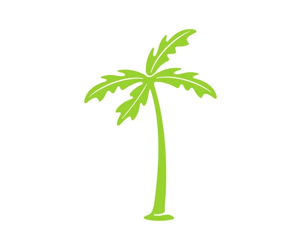 Palmboom Boom Planten Natuur Tropen Grafisch Ontwerp Bladeren Blad Gebladerte — Stockvector