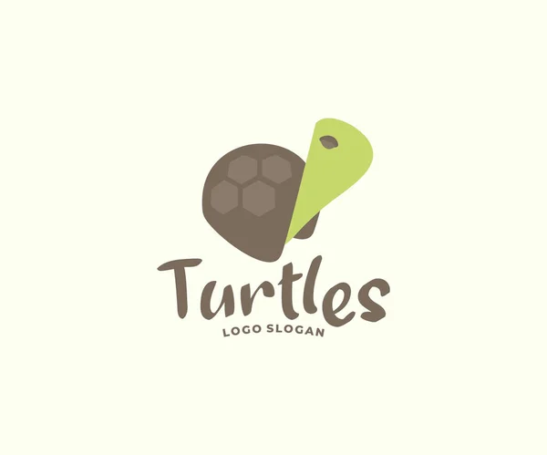 Cartoon Turtle Graphic Design Ute Turtle Hiding Shell Logo Design — Stock Vector