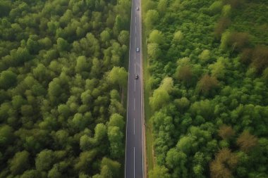 Arabanın üst manzarası sık ormanın içinde yol boyunca ilerliyor. Asfalt yolda arabası olan yeşil bir orman. Üretici yapay zeka