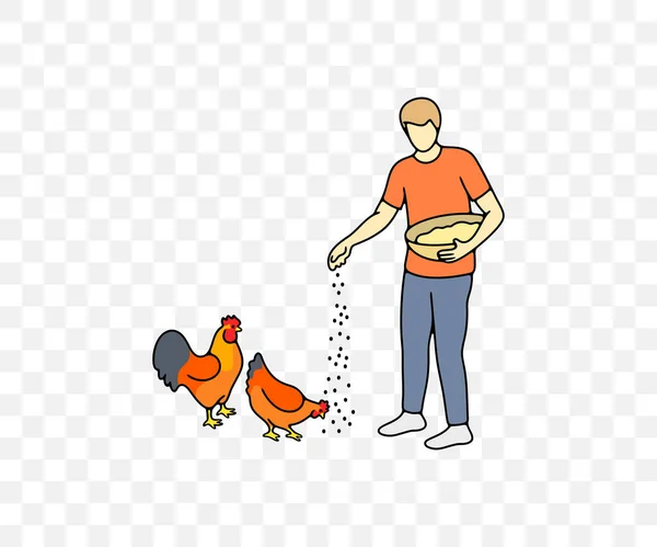 Άνθρωπος Ταΐζει Κοτόπουλα Σιτηρών Από Καλάθι Κόκορας Και Κότα Χρωματιστό — Διανυσματικό Αρχείο