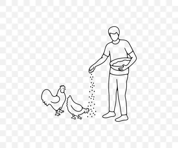 Άνθρωπος Ταΐζει Κοτόπουλα Σιτηρών Από Καλάθι Κόκορα Και Κότα Γραμμική — Διανυσματικό Αρχείο