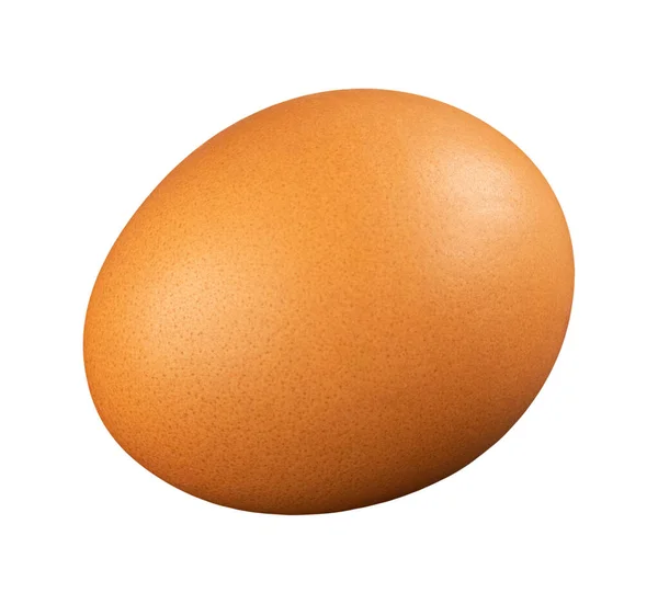 Один Коричневий Неварений Куряче Яйце Ізольовано Білому Тлі Продукти Харчування — стокове фото