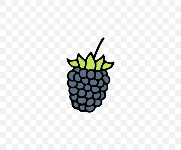 Blackberry Bramble Dewberry Planta Comida Design Gráfico Colorido Bagas Frutas — Vetor de Stock