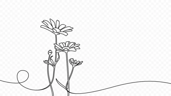 Dibujo Continuo Una Línea Hermosas Flores Silvestres Diseño Vectores Manzanilla — Archivo Imágenes Vectoriales