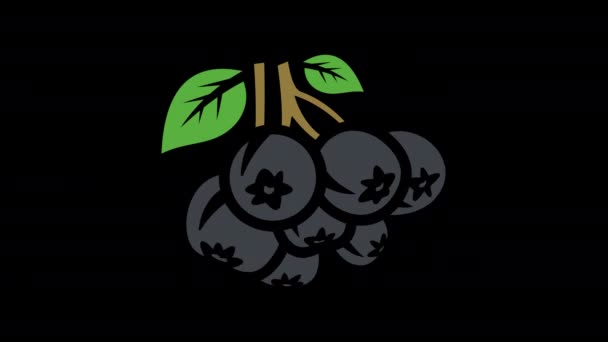 チョークベリーと葉グラフィックアニメーション 4K決議について 透明な背景モーションデザインのブラックアッシュベリー — ストック動画