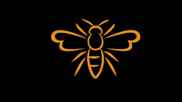 Линейная Графическая Анимация Пчел Альфа Канал Линия Пчелы Прозрачном Фоне — стоковое видео