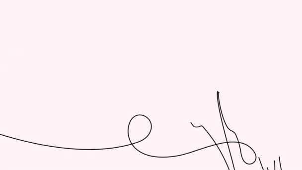 Непрерывный Однострочный Рисунок Красивых Весенних Цветов Графическая Анимация Однолинейный Арт — стоковое видео