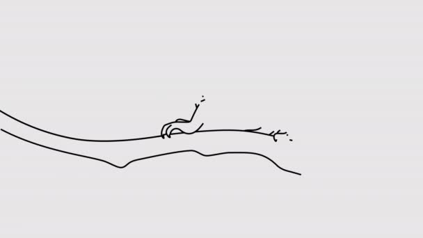 变色龙沿着树枝爬行图形动画 阿尔法频道可爱的蜥蜴关于透明的背景运动设计 4K分辨率 — 图库视频影像
