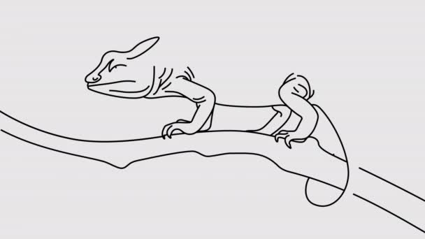 Kameleon Czołgający Się Wzdłuż Graficznej Animacji Gałęzi Drzewa Kanał Alpha — Wideo stockowe