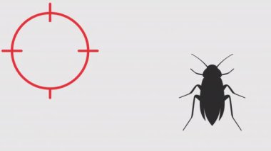 Böcek kontrol grafik animasyonu. Alfa kanalı. Hamamböceği ve hedef, şeffaf arka plan hareket tasarımında. 4K çözünürlüğü