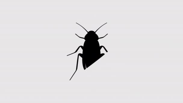 Animación Gráfica Cucaracha Canal Alfa Resolución — Vídeo de stock