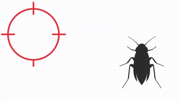 Pest Control Graphic Animation Cockroach Target Motion Design Resolution — Stock Video
