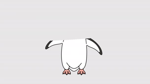 半北极企鹅或Gentoo企鹅的图像动画 阿尔法频道动物 鹿角透明背景运动设计 4K分辨率 — 图库视频影像