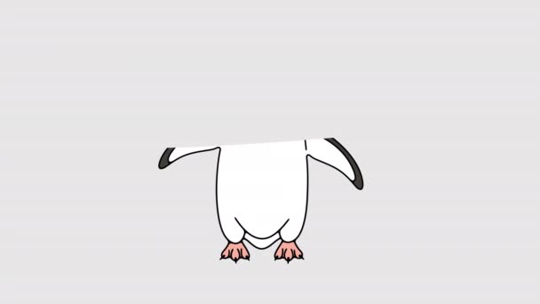 Pinguim Subantártico Pinguins Gentoo Animação Gráfica Canal Alfa Animal Pássaro — Vídeo de Stock
