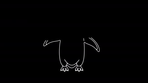Subantarktický Tučňák Nebo Gentoo Tučňáci Grafické Animace Alfa Kanál Zvíře — Stock video