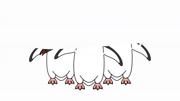 半北极企鹅或Gentoo企鹅的图像动画 羽毛状 鹿角白色背景运动设计 4K分辨率 — 图库视频影像