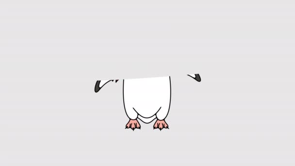 半北极企鹅或Gentoo企鹅的图像动画 阿尔法频道动物 鹿角透明背景运动设计 4K分辨率 — 图库视频影像