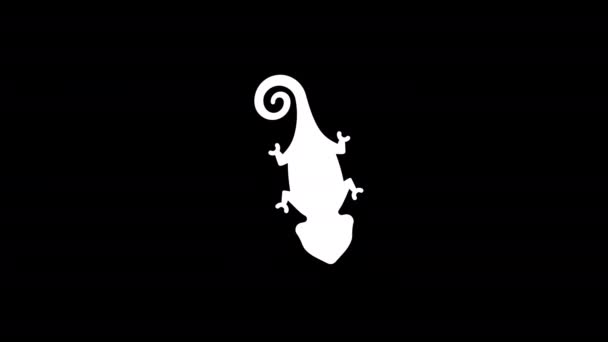 Top View Veiled Chameleon Graphic Animation Alpha Channel Curled Tail — Stock Video