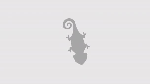 Horní Pohled Zahalenou Chameleonskou Grafickou Animaci Alfa Kanál Zakroucený Ocas — Stock video