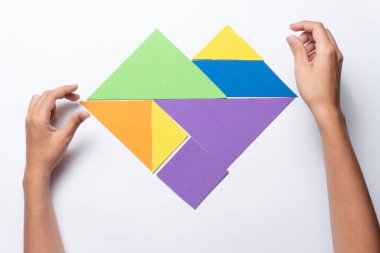 Puzzle or tangram game, made with colored paper or cardboard at school or at home, for children